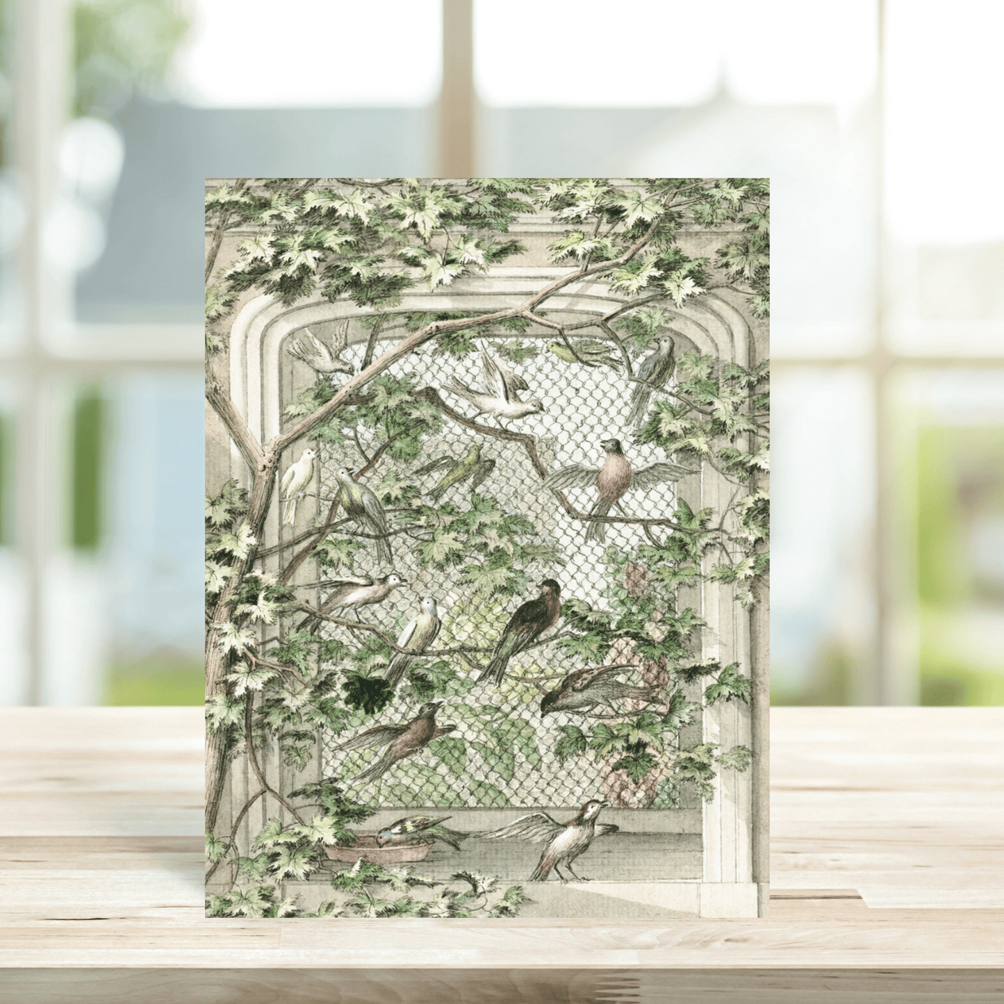Fourteen Birds in an Avery Card - Aert Schouman - Peppy & Sage