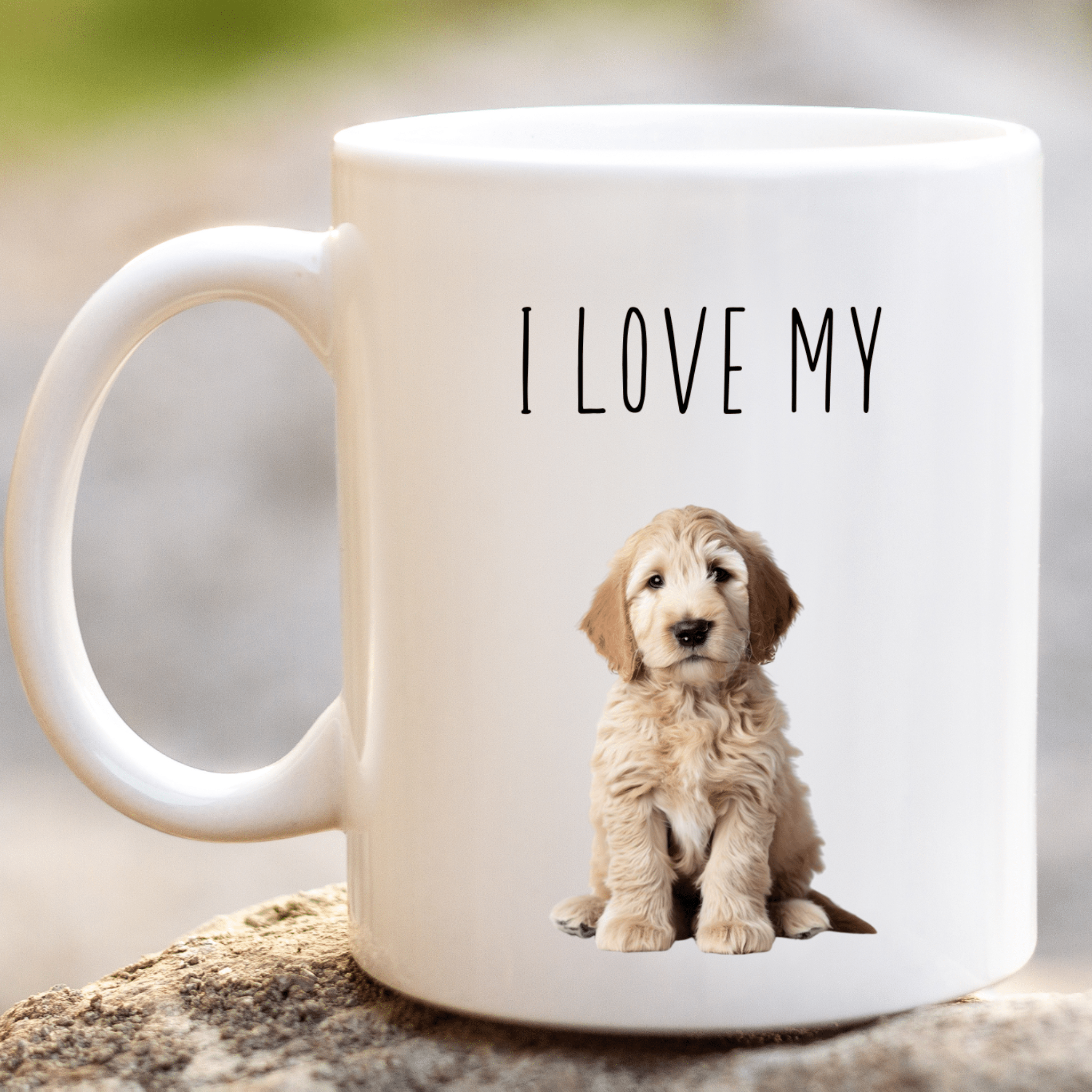 I love my store labradoodle