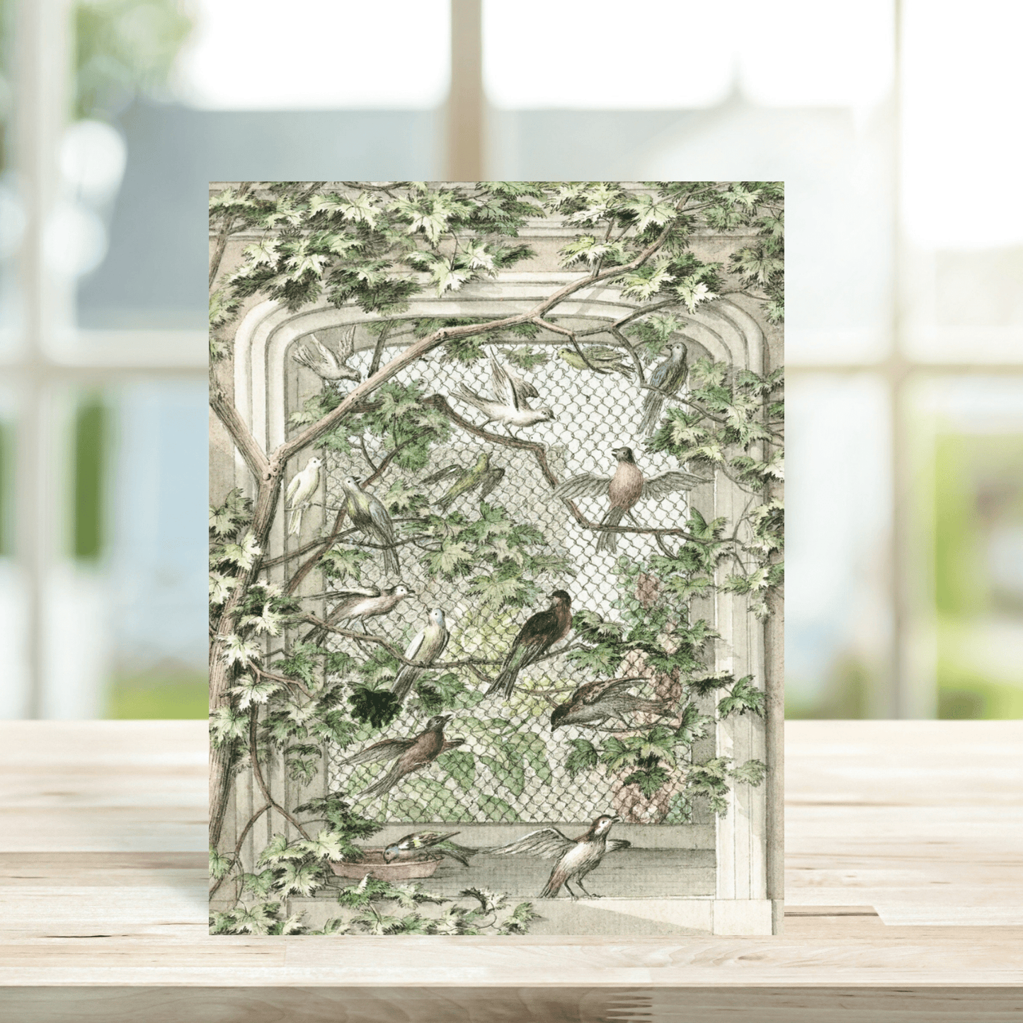 Fourteen Birds in an Avery Card - Aert Schouman - Peppy & Sage