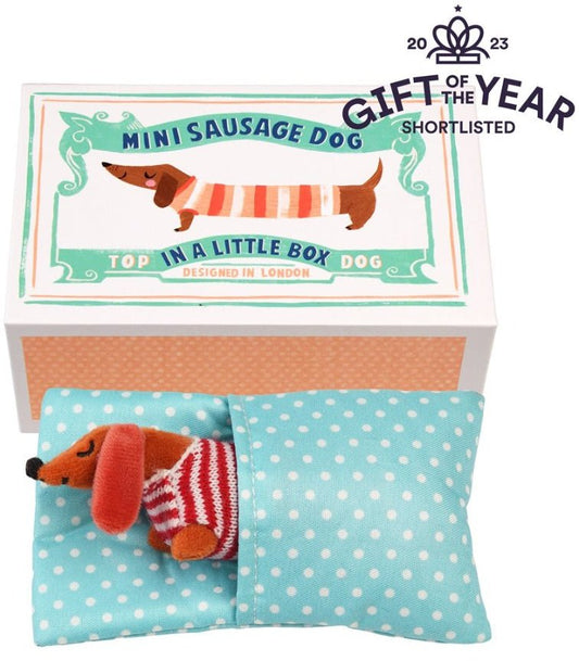 Mini Sausage Dog In A Little Box - Peppy & Sage