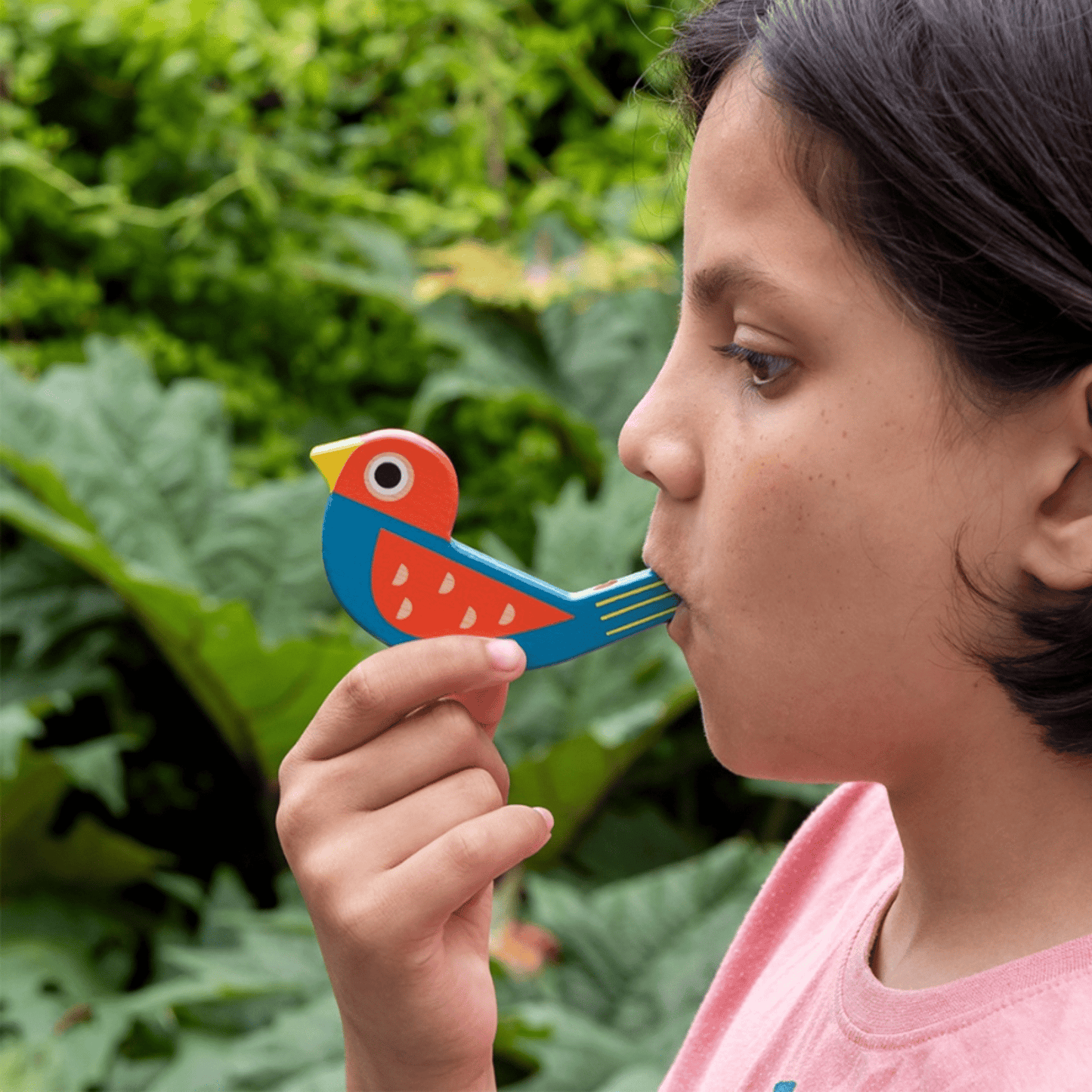 Wooden Bird Whistle - Choose Colour - Peppy & Sage