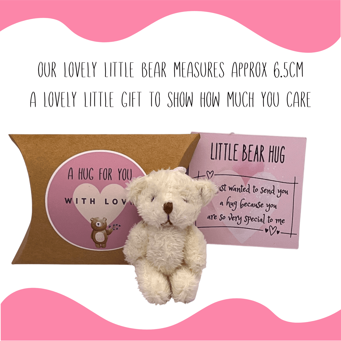 Mini Teddy Bear Hug Gift ~ Various Colours Available - Peppy & Sage