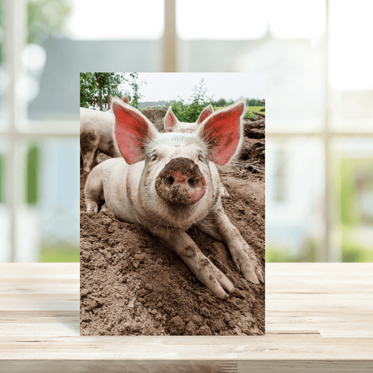 Muddy Pig Card - Peppy & Sage