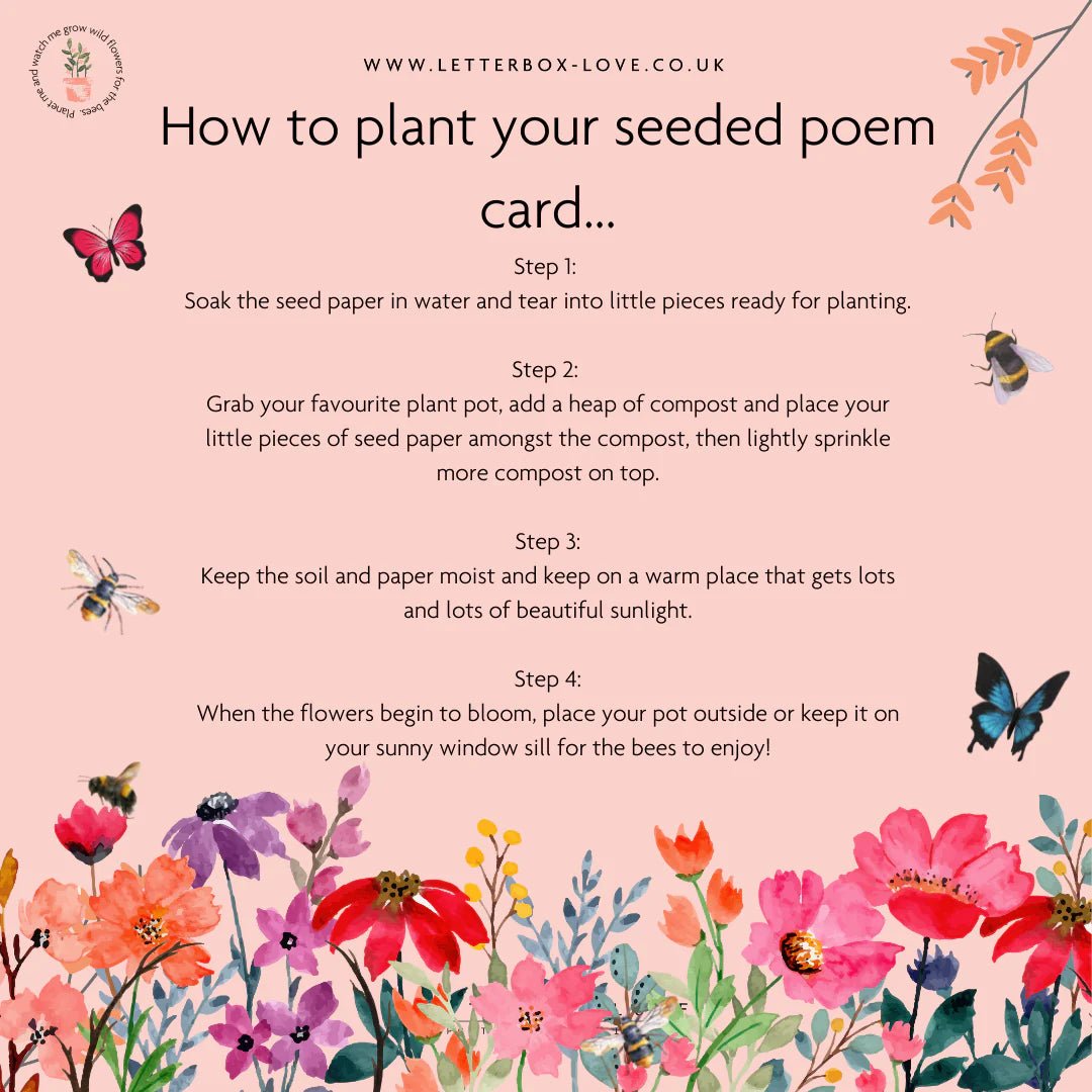 Seeded Poem Card with Bee Bracelet - Peppy & Sage